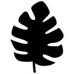 Untitled design – 2026-01-20T073505.012